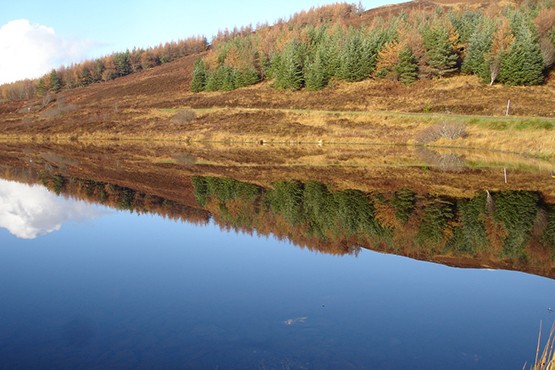 Loch Craggie