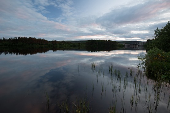 Loch Shine